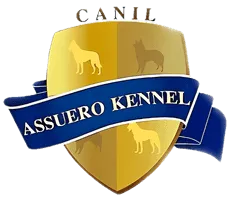Canil Assuero