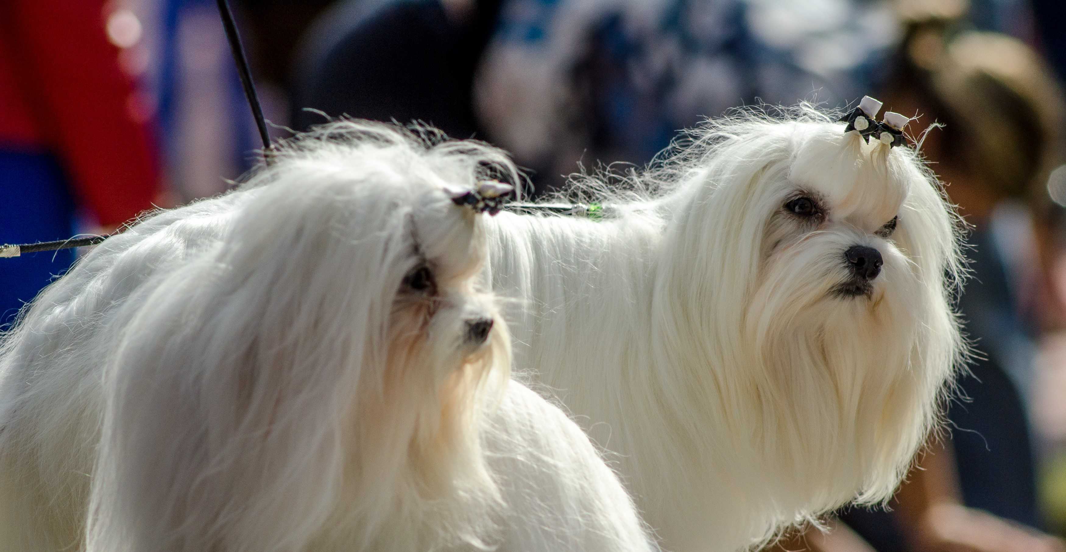 Gallery Landing Image